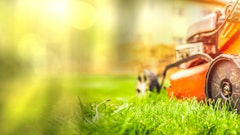 Adobe Stock 428643399