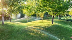 Adobe Stock 329048607