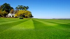 Adobe Stock 63936399