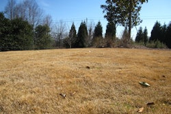 Dormant turfgrass during the winter season.