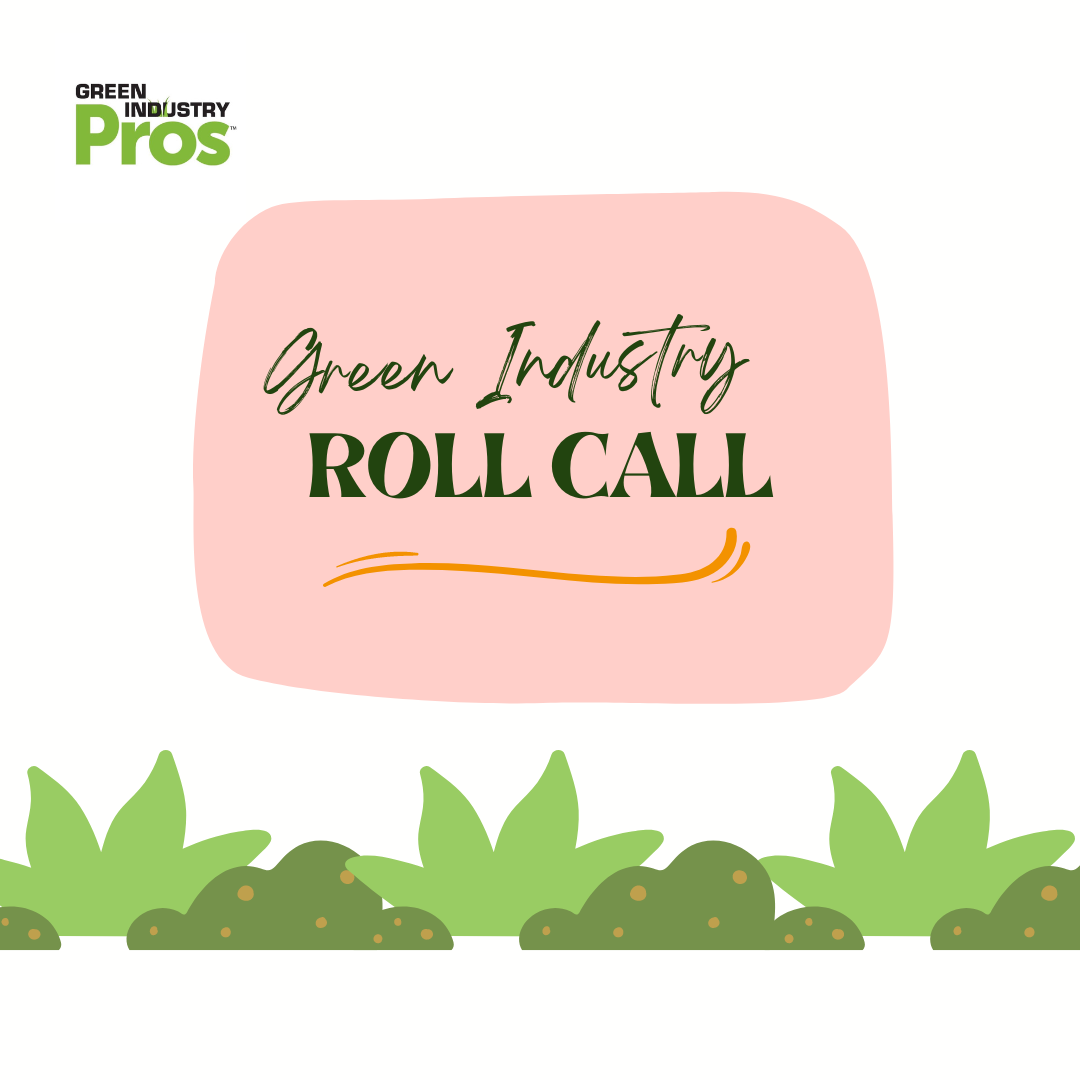 Microsoft Teams Image (38)