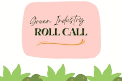 Microsoft Teams Image (38)