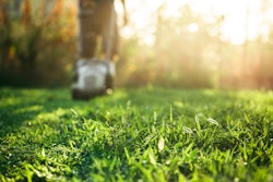 Adobe Stock 210983115