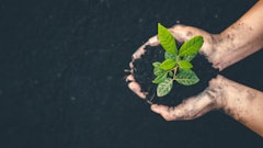 Adobe Stock 260647499