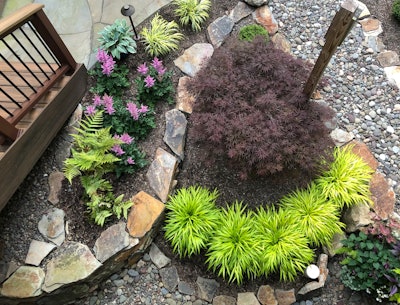 Stone outlining the choice plants and foliage.