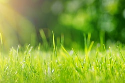 Adobe Stock 220632879