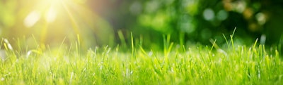 Adobe Stock 220632879