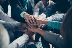 Adobe Stock 239521747