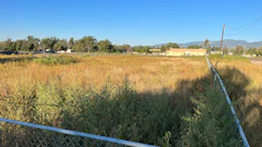 Before ManageMowed crews came in, the properties were overgrown and full of debris.