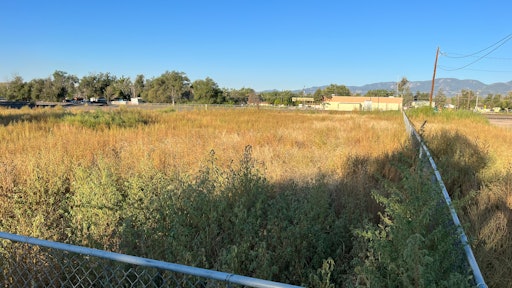 Before ManageMowed crews came in, the properties were overgrown and full of debris.
