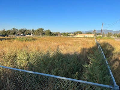 Before ManageMowed crews came in, the properties were overgrown and full of debris.