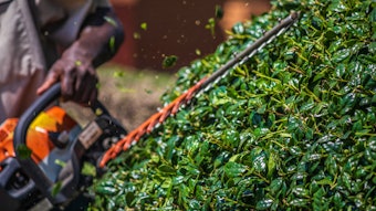 Adobe Stock 321735670