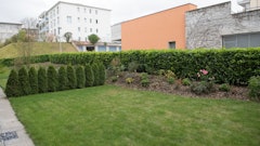 Yardzen uses technology to create online backyard landscapes similar to this real one.