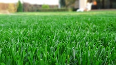 Adobe Stock 315898390