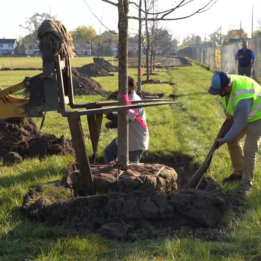 Voluteers at Project Evergreen planting a tree at a park.