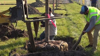 Voluteers at Project Evergreen planting a tree at a park.