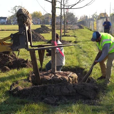 Voluteers at Project Evergreen planting a tree at a park.