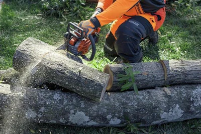 To handle a chainsaw properly and effectively, your body and the tool must work together in tandem.