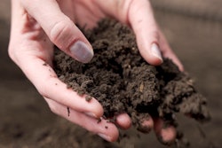How To Test Your Soil2