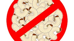 Adobe Stock 283513207