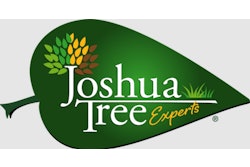 Joshua Tree