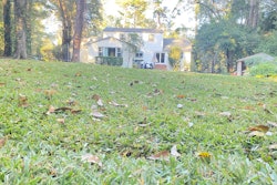Fall Lawn Maintenance Tips