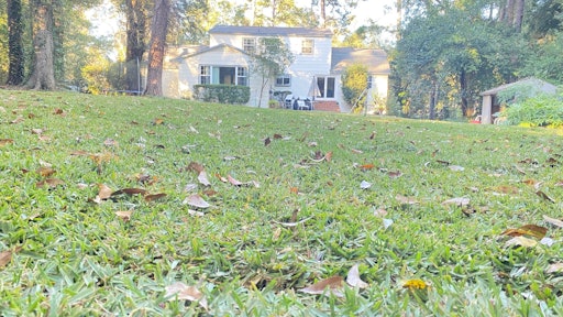 Fall Lawn Maintenance Tips