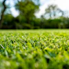 Adobe Stock 298449256