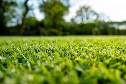 Adobe Stock 298449256
