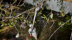 M18 Brushless Telescoping Pole Pruning Shears