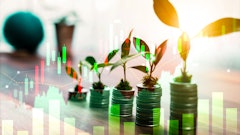 Adobe Stock 687438012