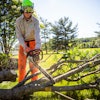 Jte Tree Work 65ae9c87e7468