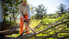 Jte Tree Work 65ae9c87e7468