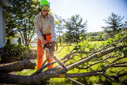 Jte Tree Work 65ae9c87e7468