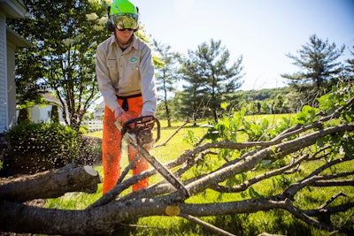Jte Tree Work 65ae9c87e7468