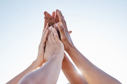 2 Adobe Stock 542331713