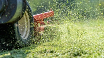 Adobe Stock 113298116