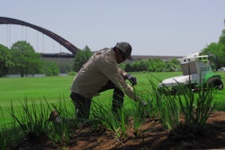 Autonomous mowers can allow crews to perform more detail-oriented tasks.
