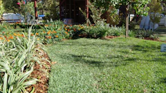Spring Lawn Care Tips