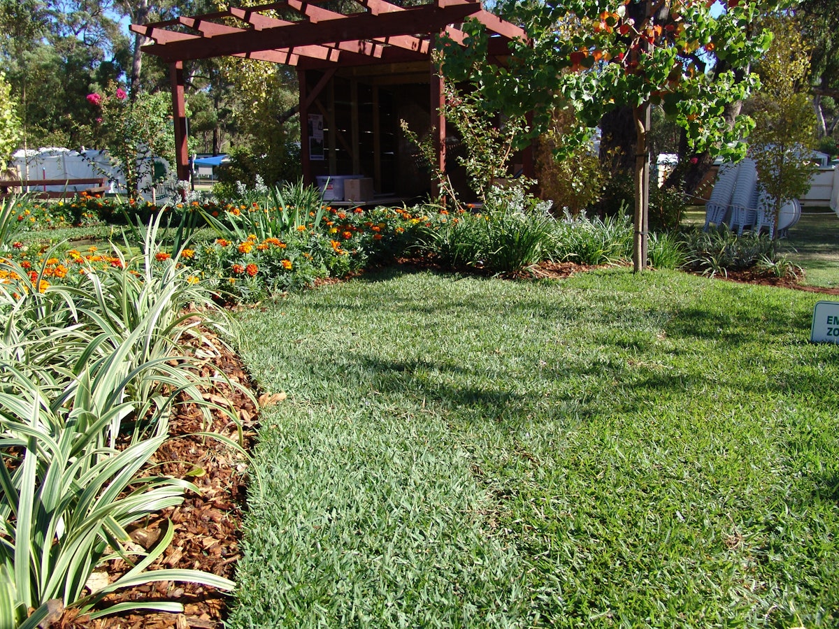 Lawn care advice deals