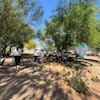 TOCA attendees participate in a Project EverGreen renovation effort at a local bird sanctuary.