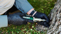Tree care injections can help trees fend off pests and diseases.