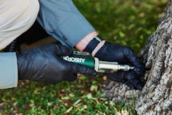 Tree care injections can help trees fend off pests and diseases.