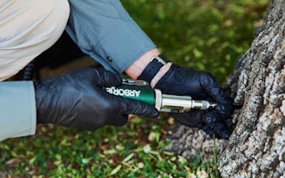 Tree care injections can help trees fend off pests and diseases.