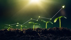 Adobe Stock 483549452