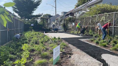 Joe Holzka Nyc Project After