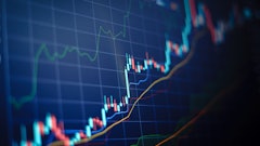 Adobe Stock 299978128