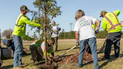 Project EverGreen's efforts in Phoenix included planting trees to help lessen the urban heat island effect, increase shade and reduce temperatures.