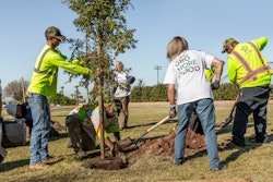 Project EverGreen's efforts in Phoenix included planting trees to help lessen the urban heat island effect, increase shade and reduce temperatures.