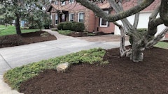 Mulching can provide a nice contrast to existing landscape features and enhance the aesthetics of a property.